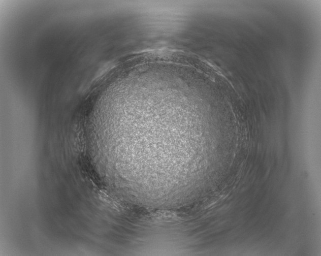 X0000059801446200510241317