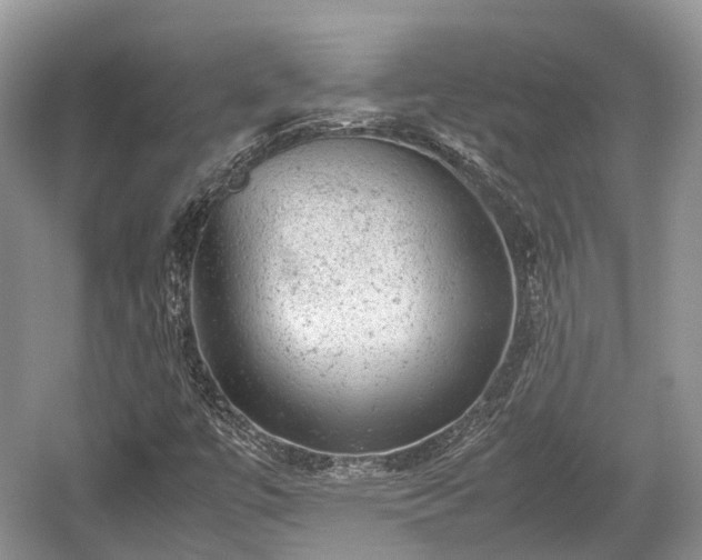 X0000059801447200510241317