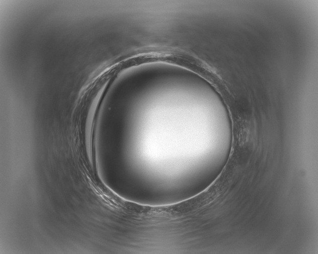 X0000059801448200510241317