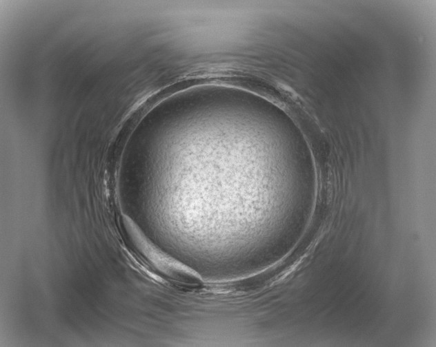 X0000059801449200510241317