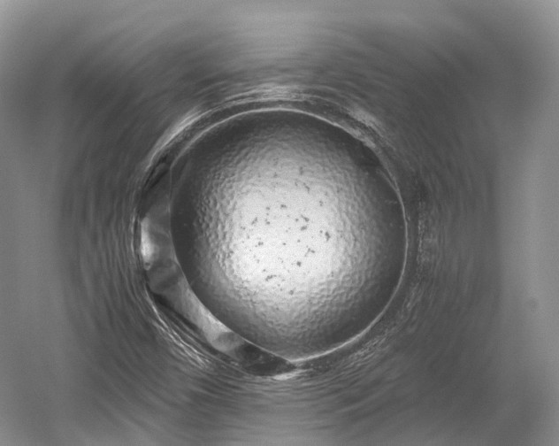 X0000059801450200510241317