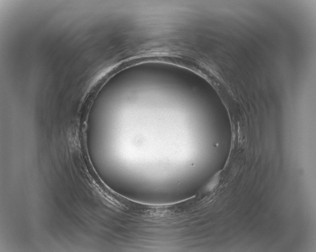 X0000059801452200510241317