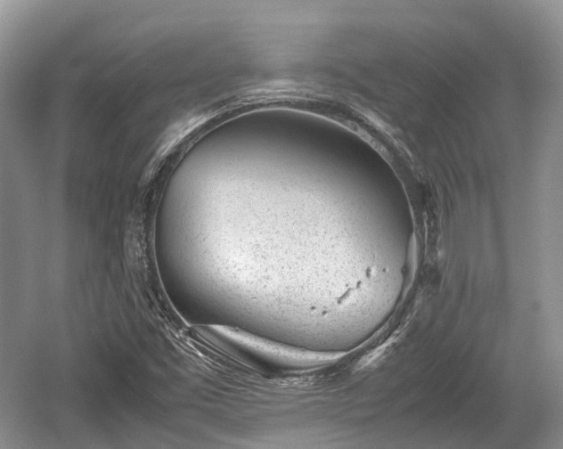 X0000059801453200510241317