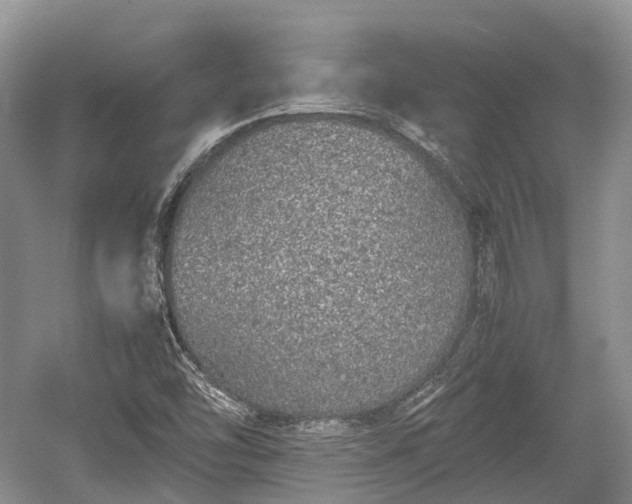 X0000059801454200510241316