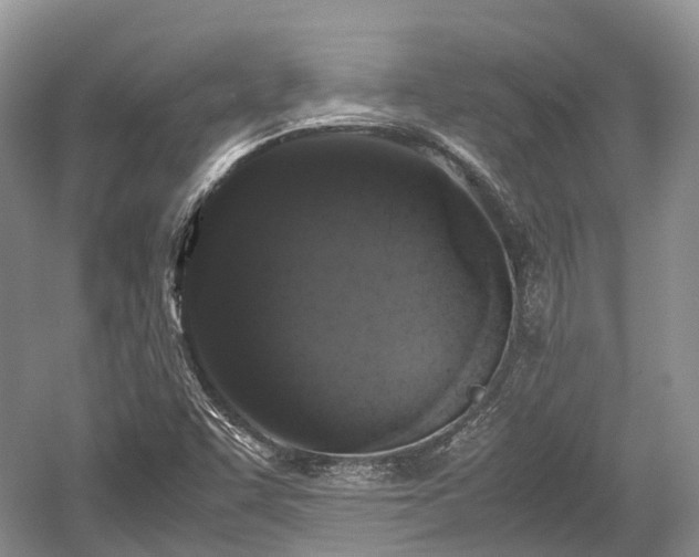 X0000059801455200510241316