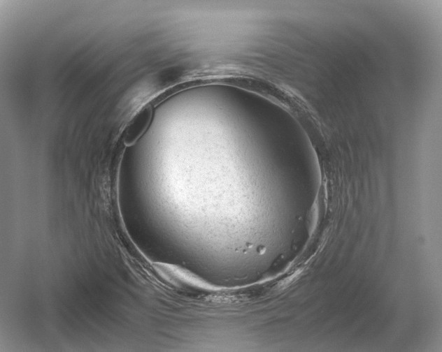 X0000059801457200510241316