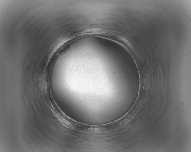 X0000059801458200510241316