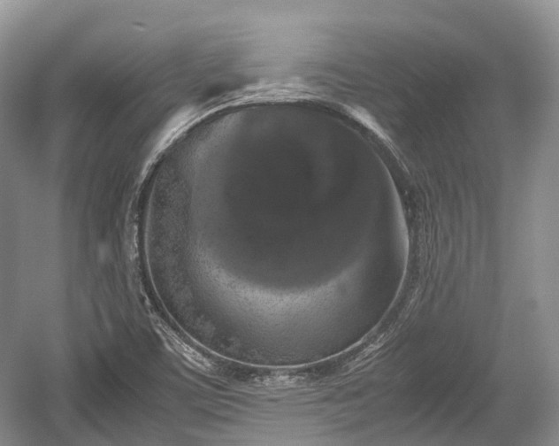 X0000059801459200510241316