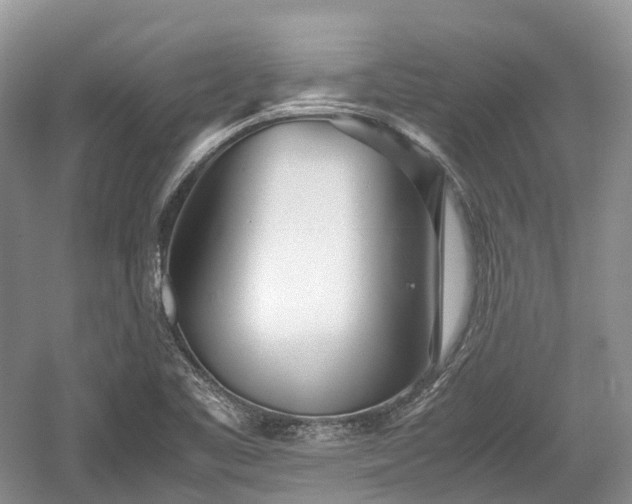 X0000059801461200510241316