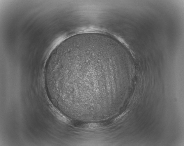 X0000059801463200510241316