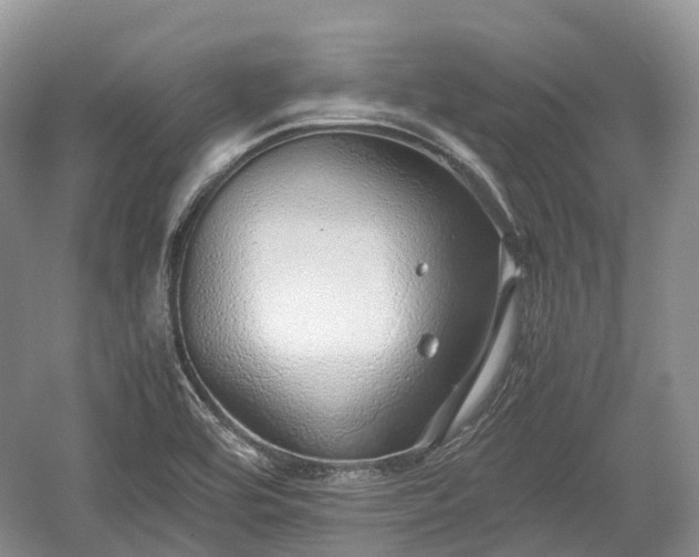 X0000059801464200510241316