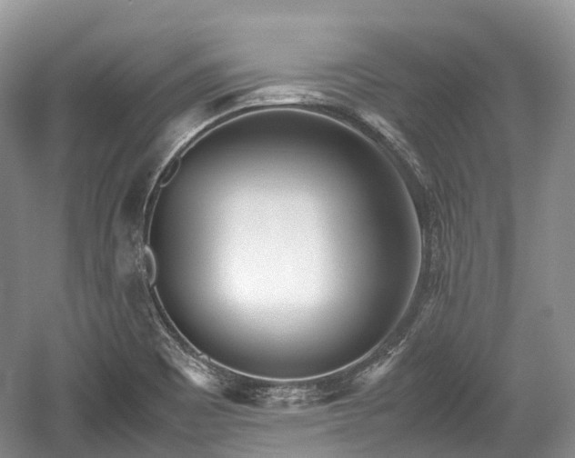 X0000059801465200510241316