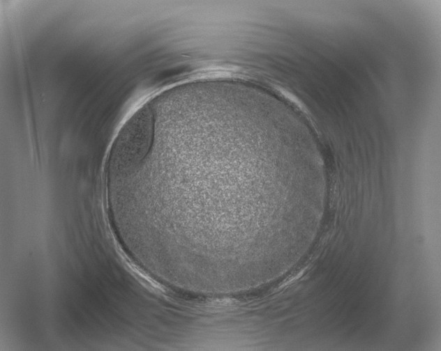 X0000059801467200510241316