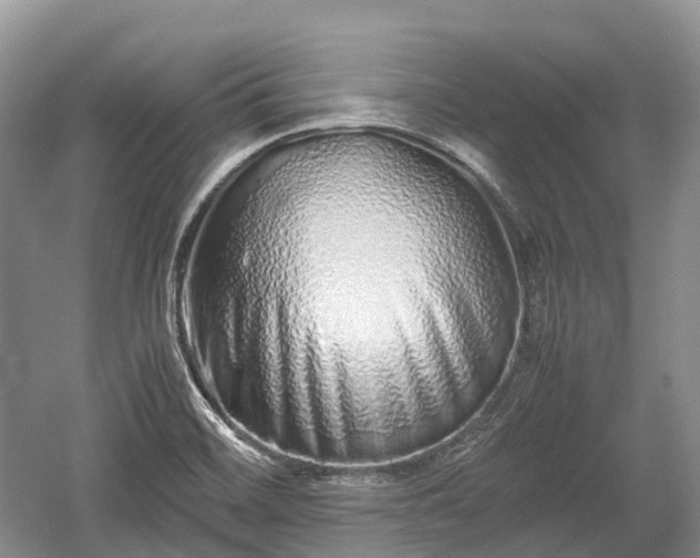 X0000059801468200510241316