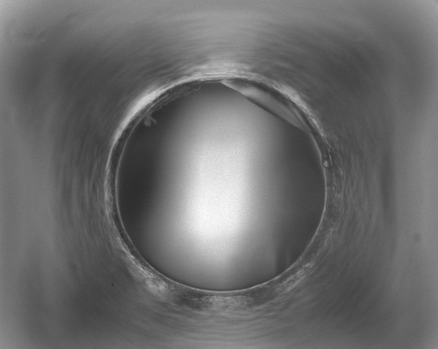 X0000059801469200510241316