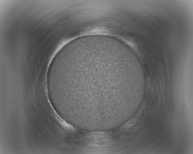 X0000059801470200510241316