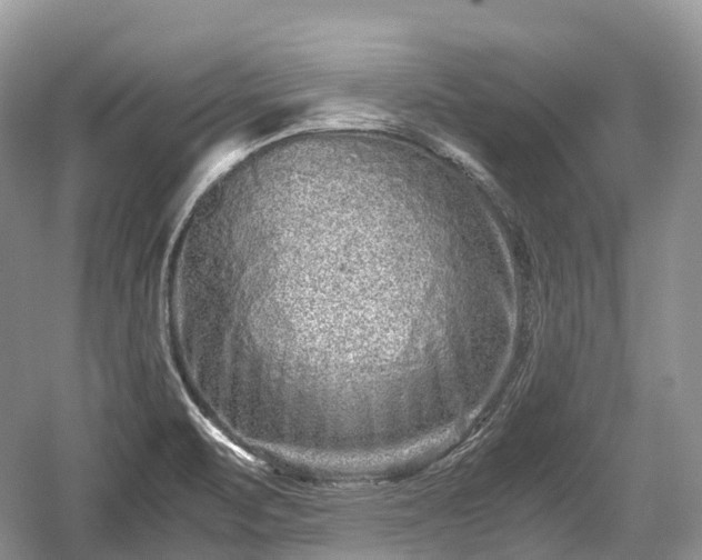 X0000059801471200510241316