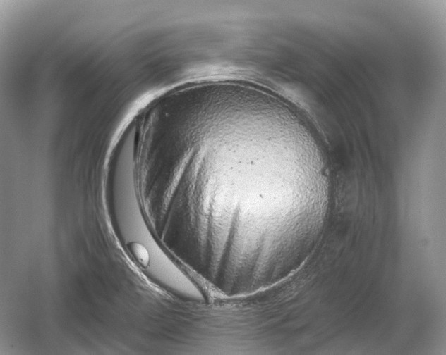 X0000059801472200510241316