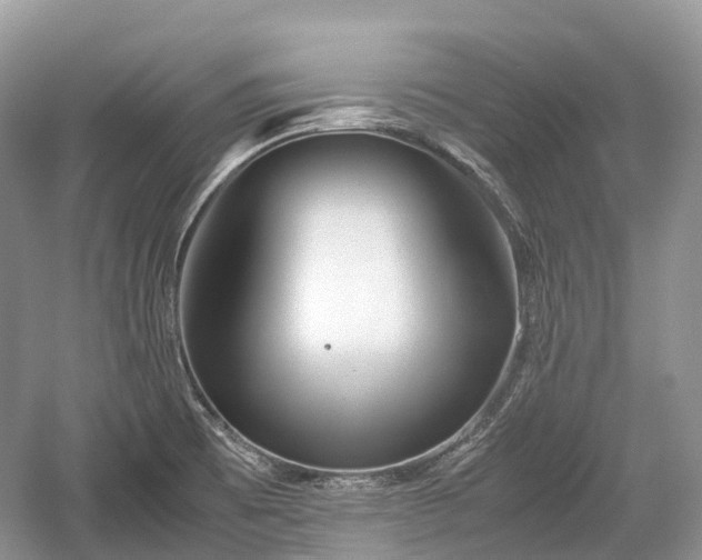 X0000059801473200510241316