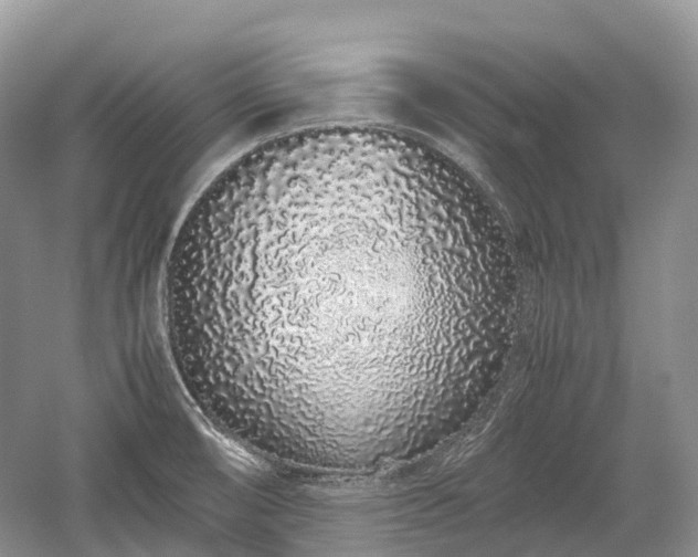 X0000059801474200510241316