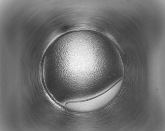 X0000059801476200510241316