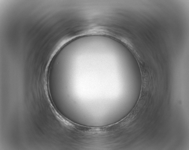 X0000059801478200510241316