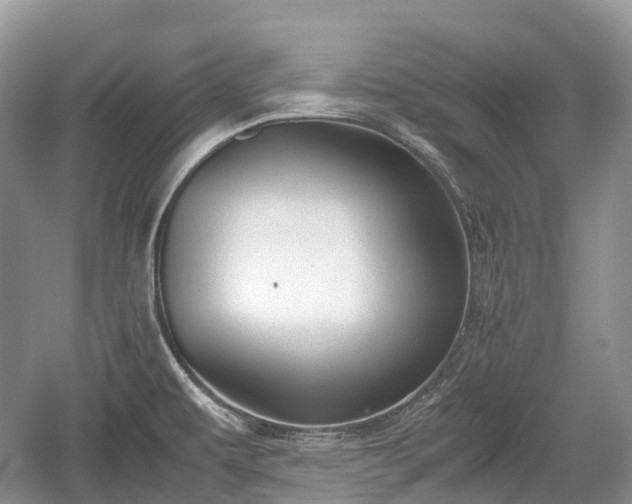 X0000059801479200510241316