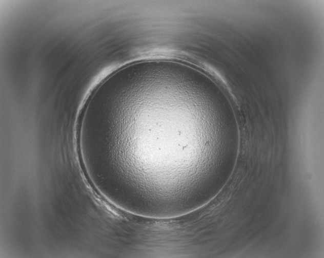 X0000059801480200510241316