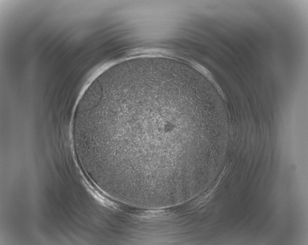 X0000059801482200510241316