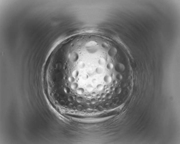 X0000059801483200510241316