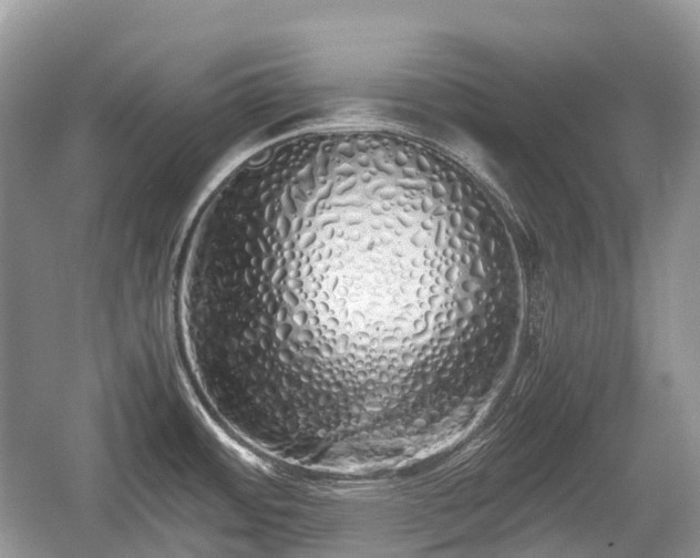 X0000059801484200510241316