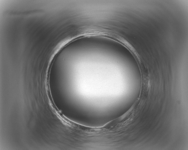 X0000059801485200510241316