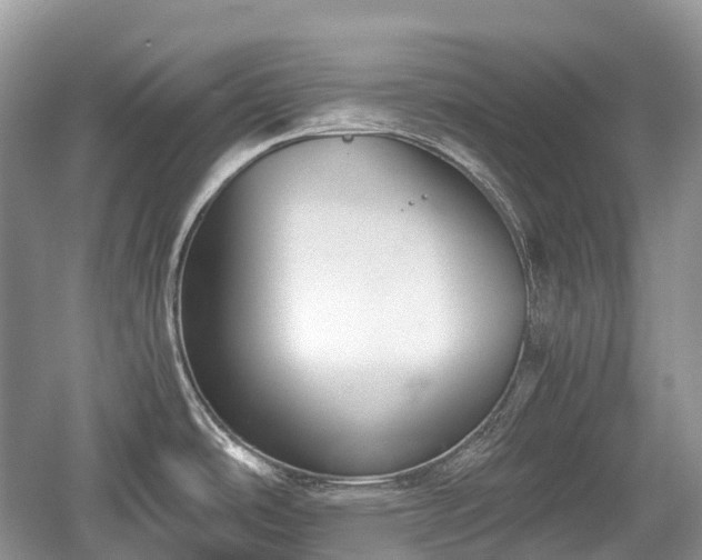 X0000059801486200510241316