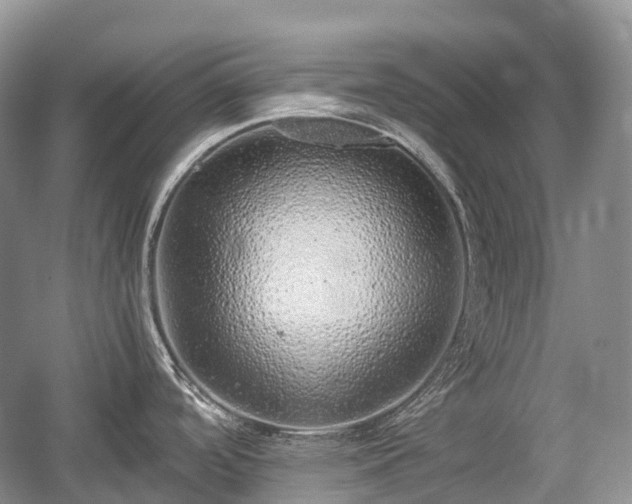 X0000059801488200510241316