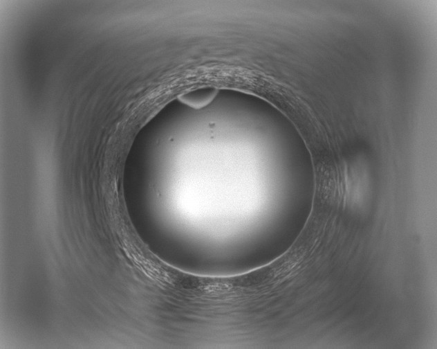 X0000059801489200510241315