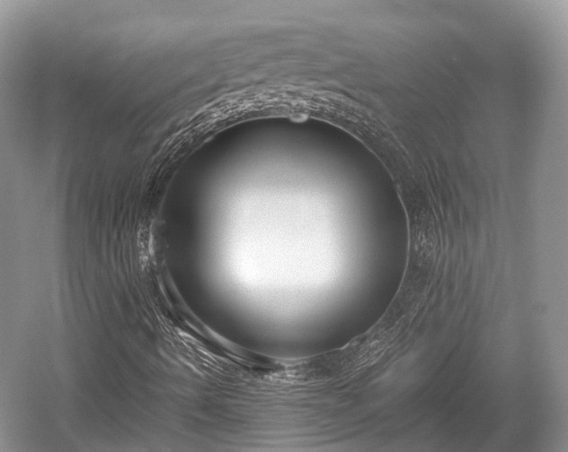 X0000059801490200510241315