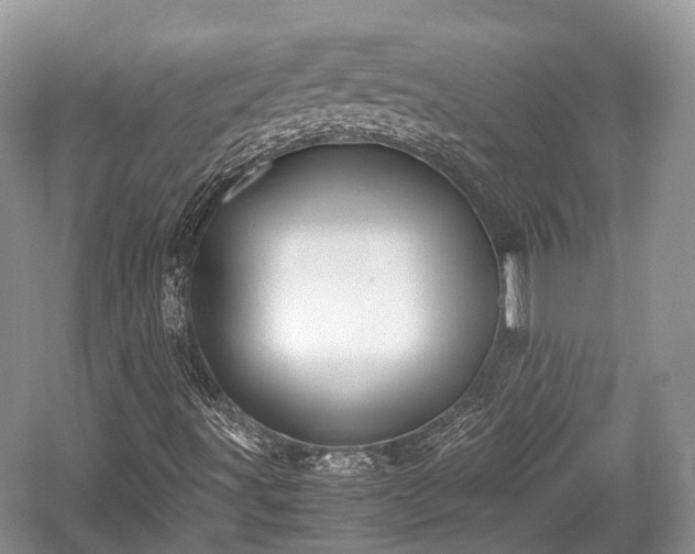 X0000059801491200510241315