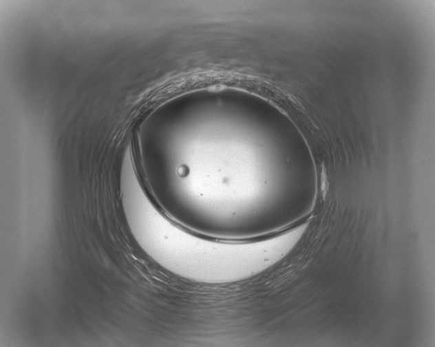 X0000059801492200510241315