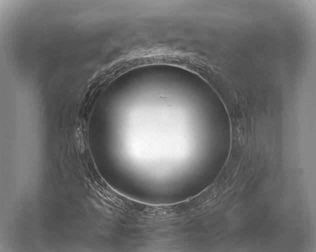 X0000059801493200510241315