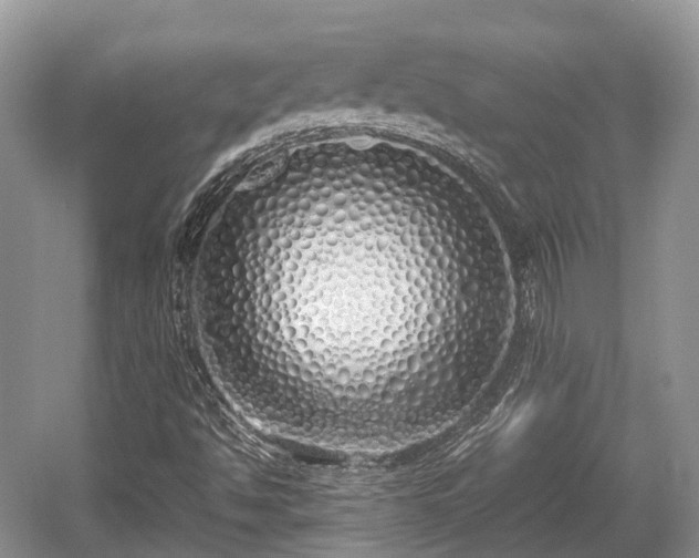 X0000059801494200510241315