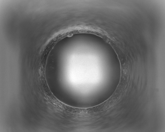 X0000059801495200510241315