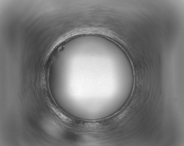 X0000059801498200510241315