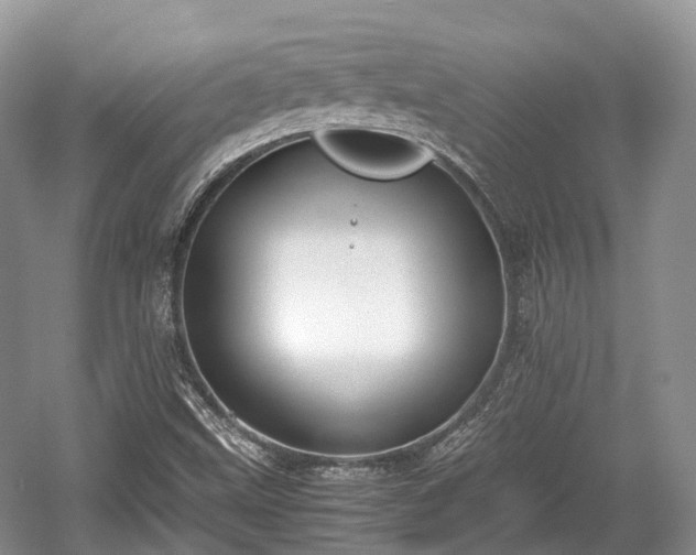 X0000059801499200510241315