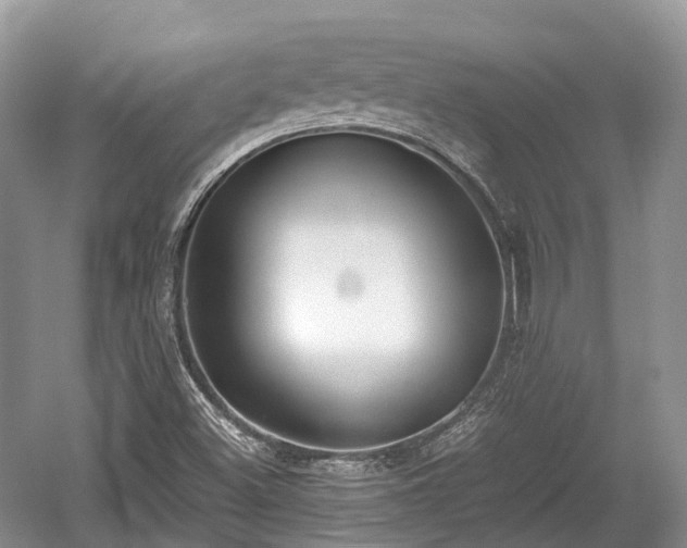 X0000059801500200510241315