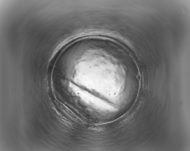 X0000059801501200510241315