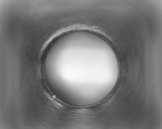 X0000059801502200510241315