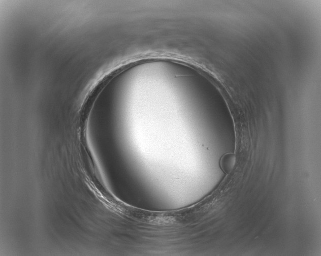 X0000059801503200510241315