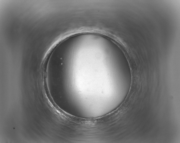 X0000059801504200510241315