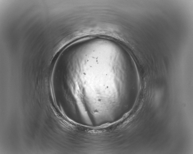 X0000059801505200510241315