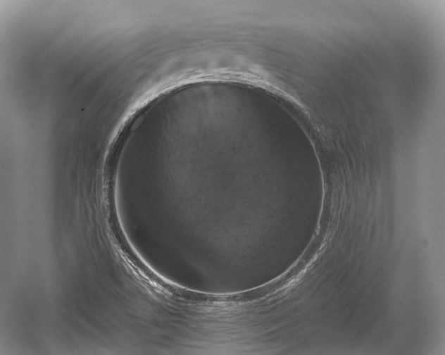 X0000059801506200510241315